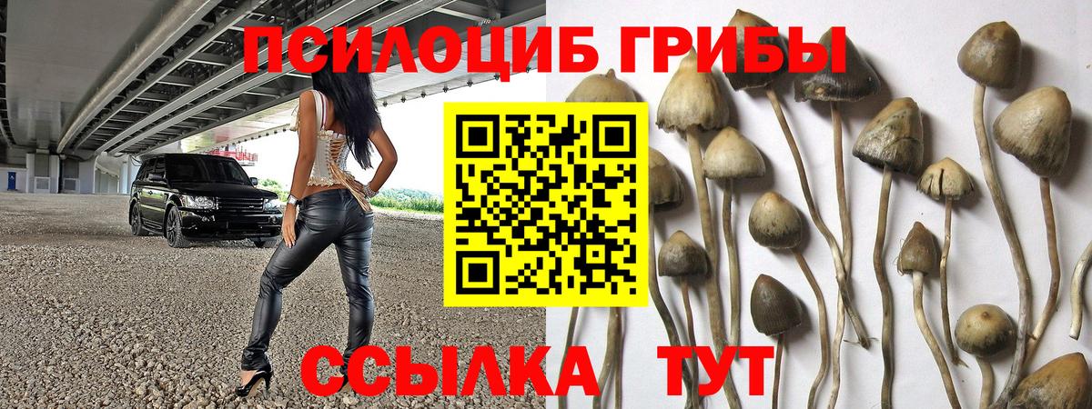 Лсд 25 Нововоронеж