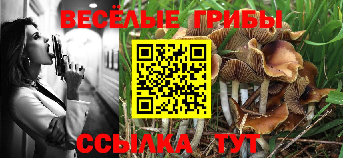 Нововоронеж  Галлюциногенные грибы Psilocybe  Вход с VPN 